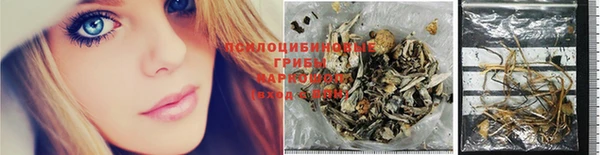 кокс Алзамай