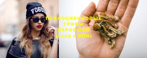 крисы Алексин
