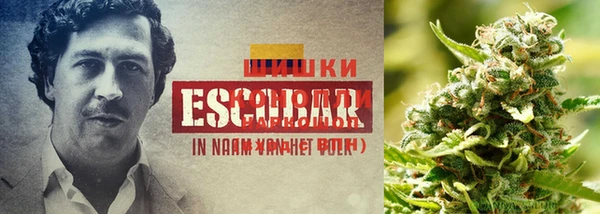 крисы Алексин