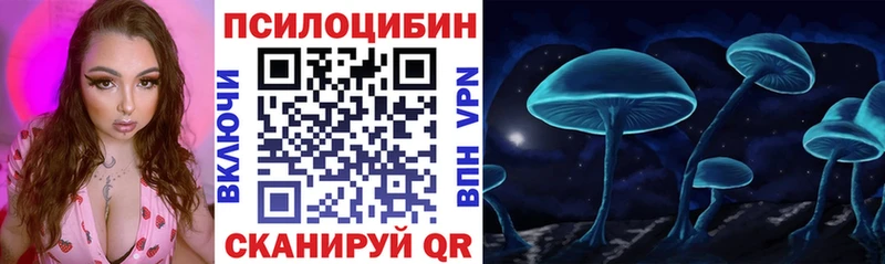 Купить где Белозерск Галлюциногенные грибы мицелий